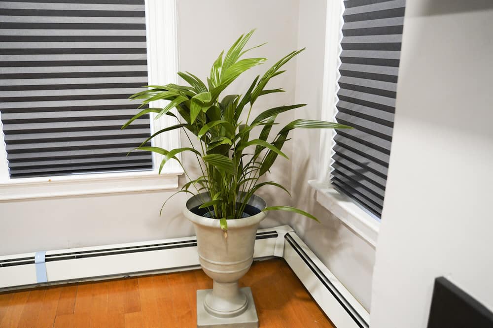 Photo of Others in Orange