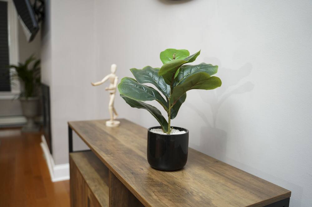 Photo of Others in Orange