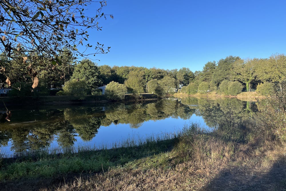 Photo of Outdoor in La Boissiere-de-Montaigu