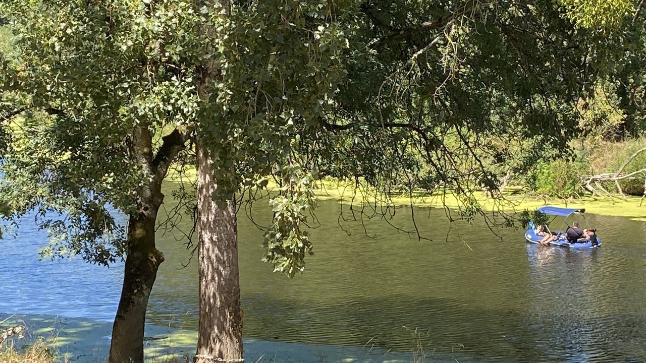Photo of Others in Saint-Fiacre-sur-Maine