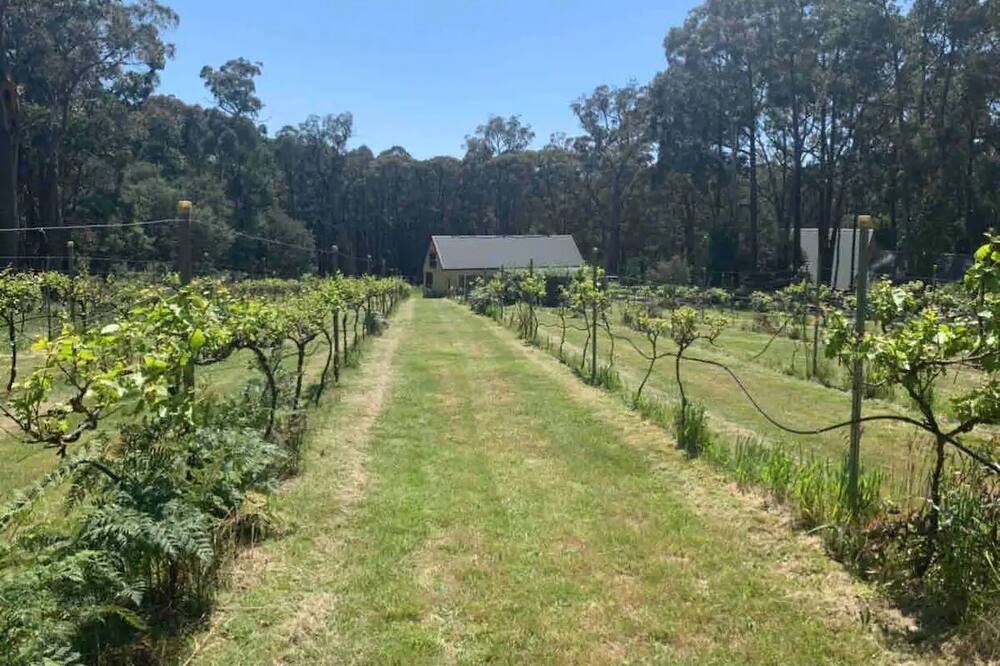 Photo of Outdoor in Dean