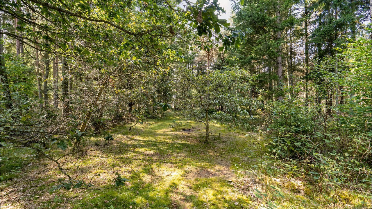 Photo of Outdoor in Ans