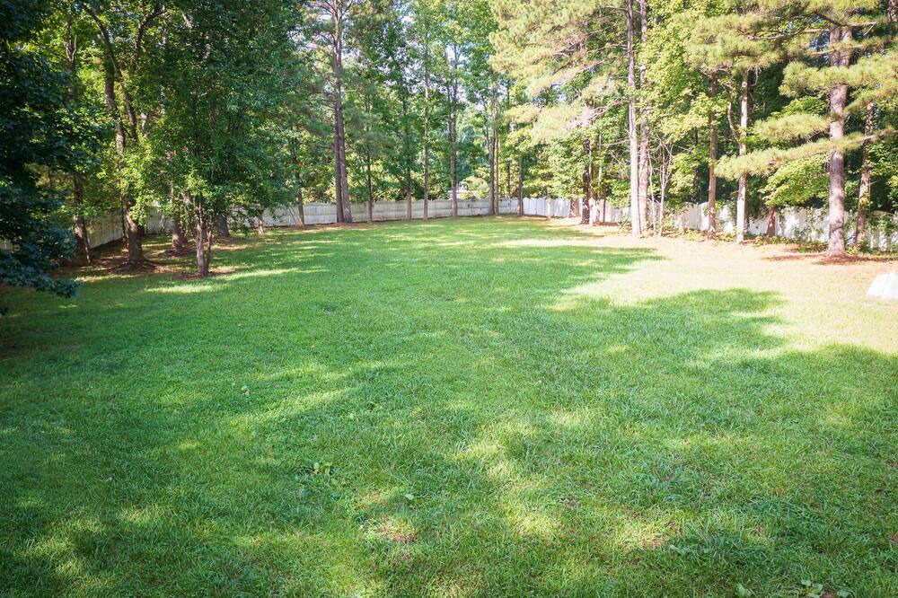 Photo of Outdoor in Raleigh