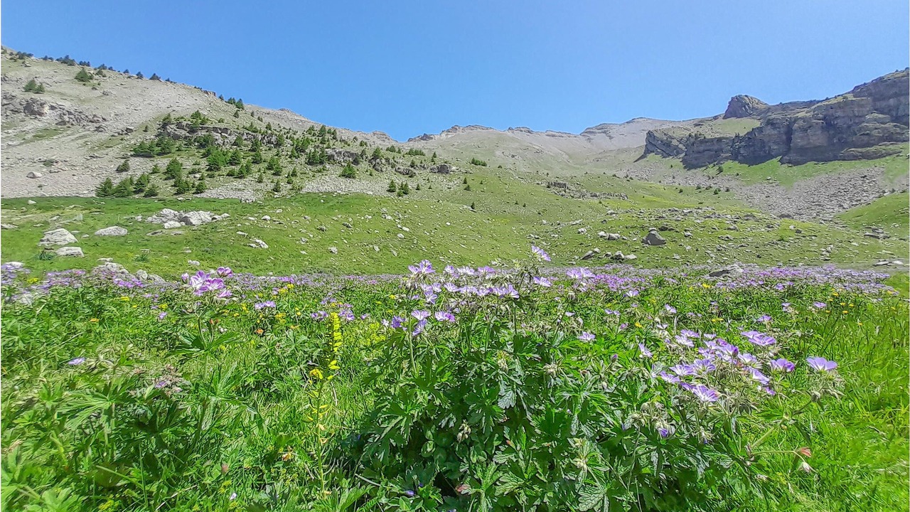 Photo of Outdoor in Savines-le-Lac