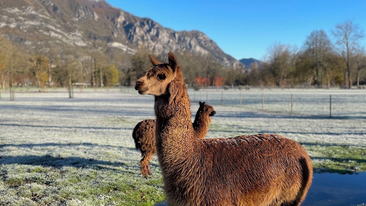 Photo of Others in Ayzac-Ost