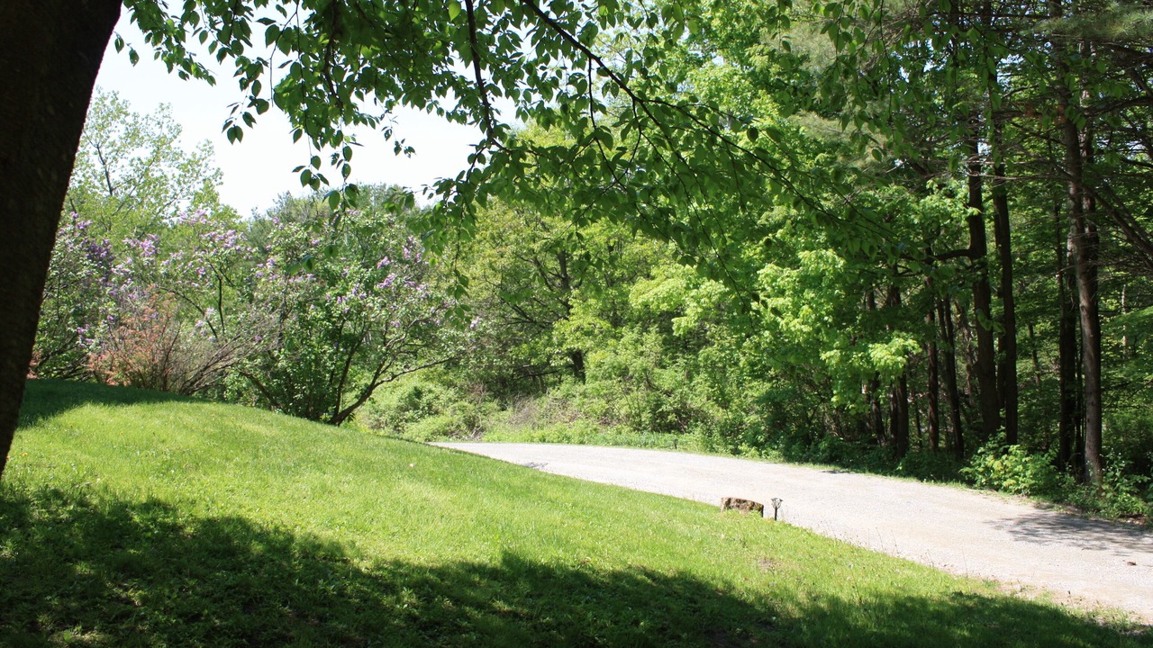 Photo of Outdoor in Richmond