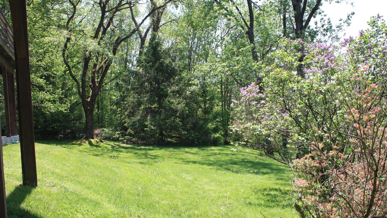 Photo of Outdoor in Richmond