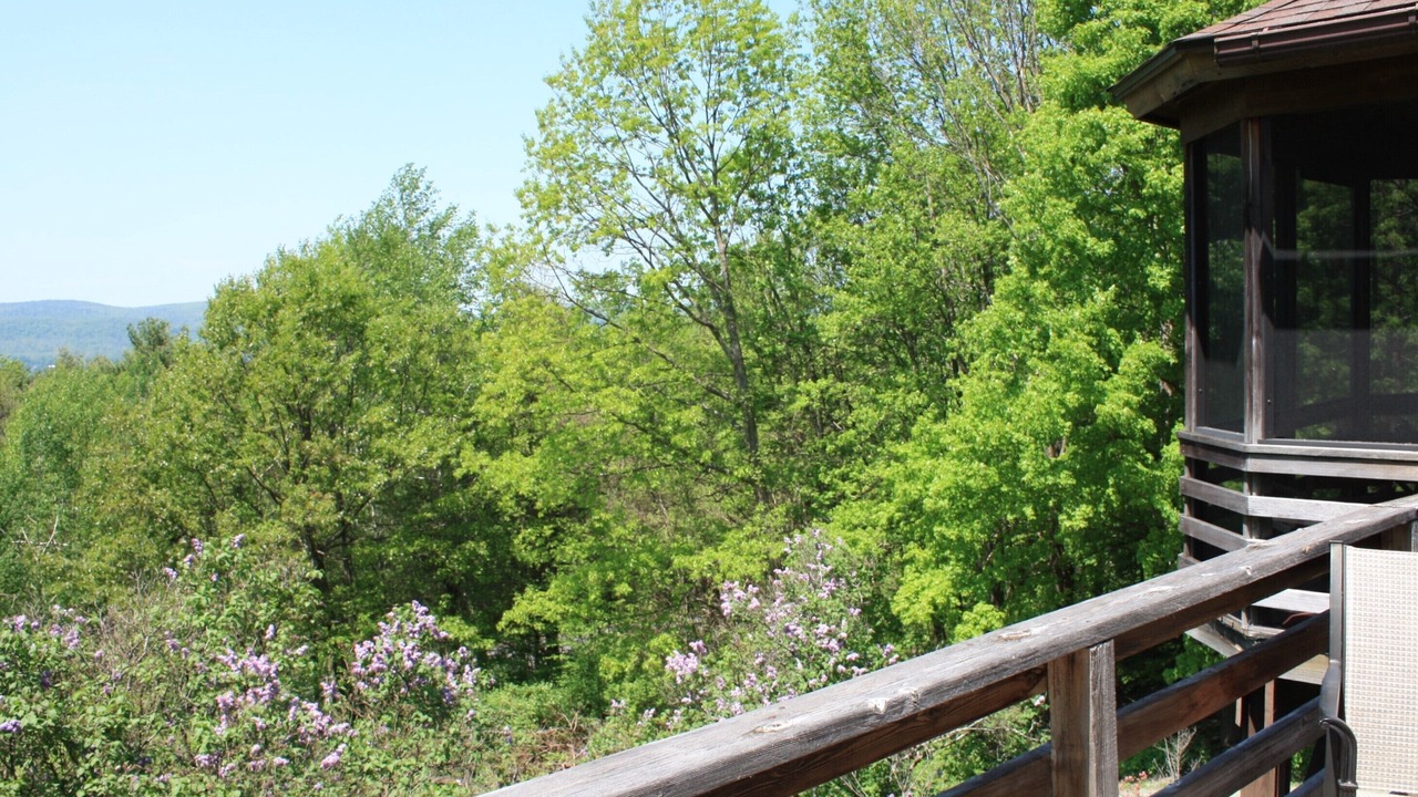 Photo of Outdoor in Richmond