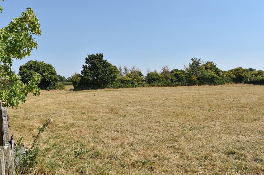 Photo of Others in Chetnole