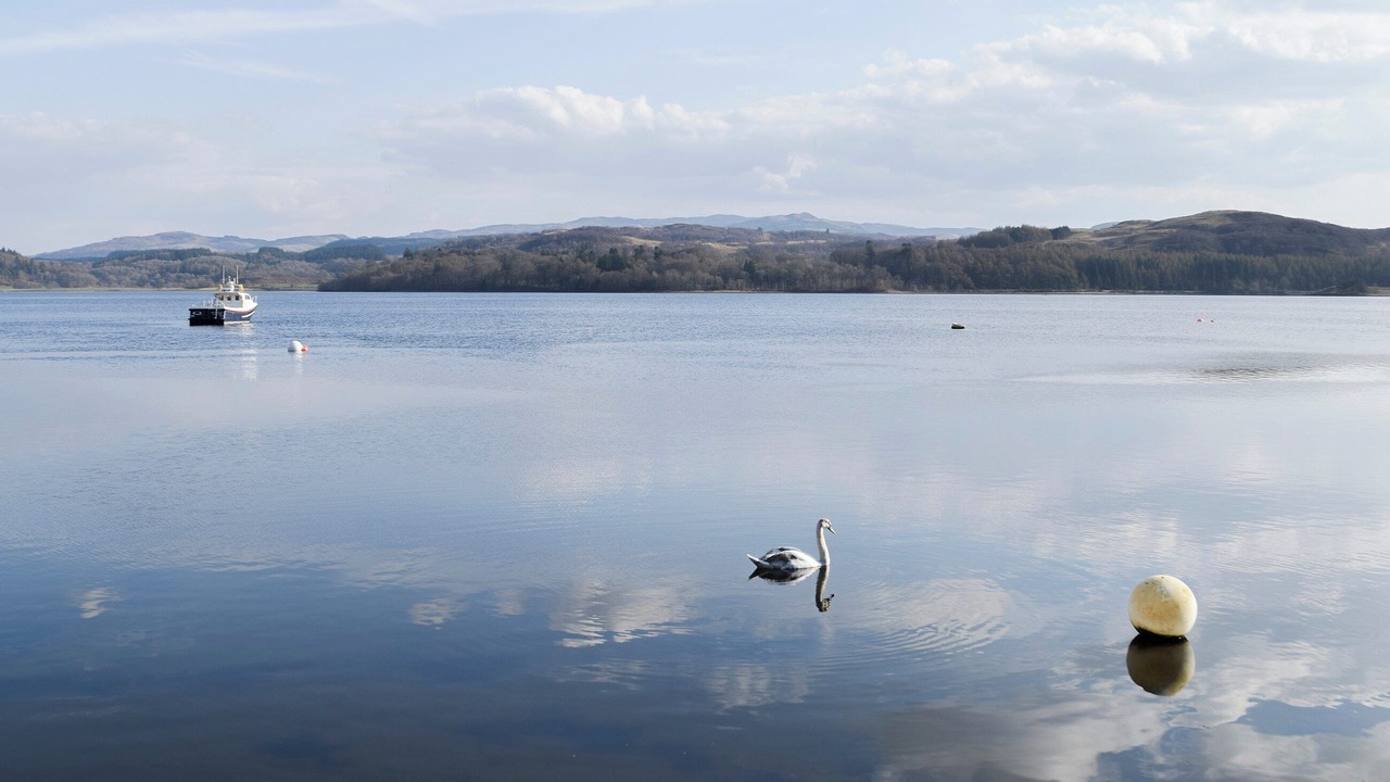 Photo of Others in Benderloch