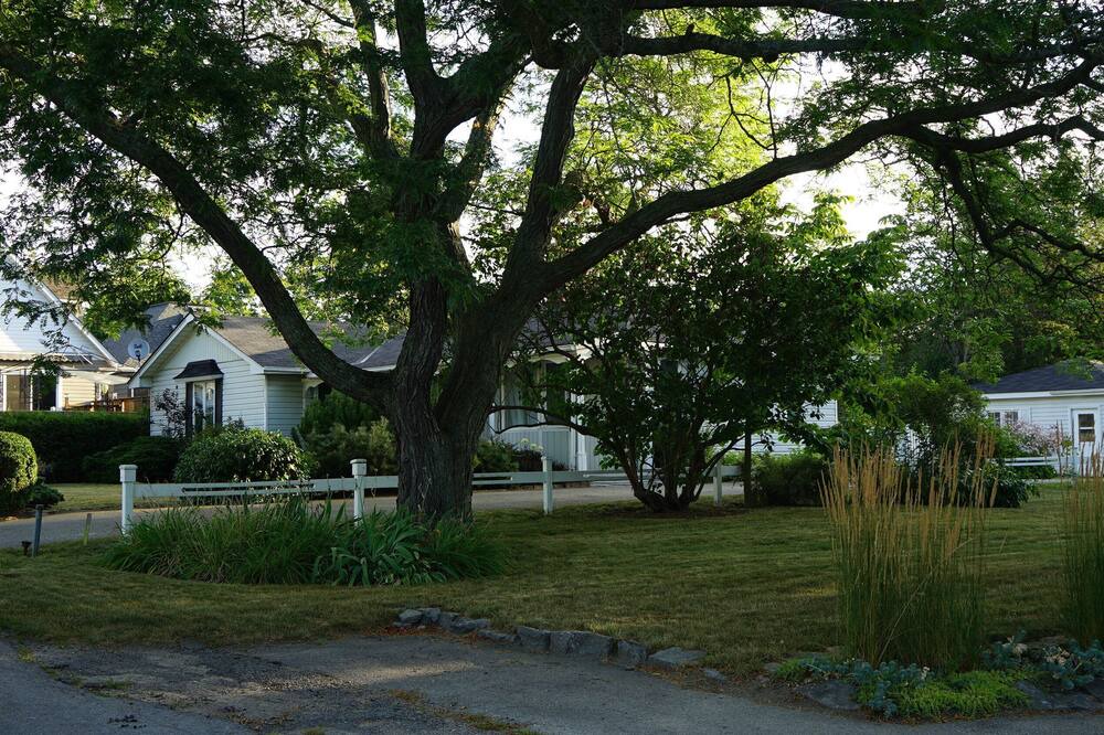 Photo of Outdoor in Wellington