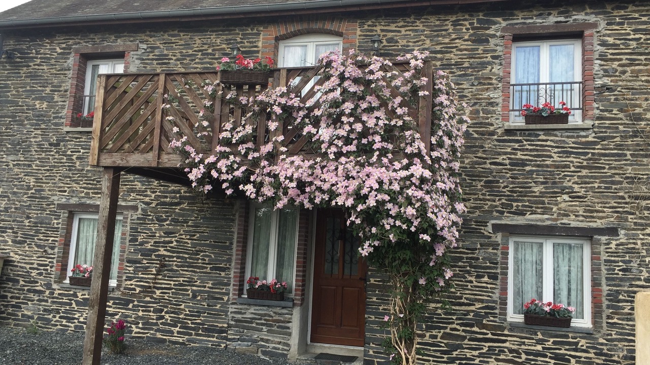 Photo of Outdoor in Javron les Chapelles