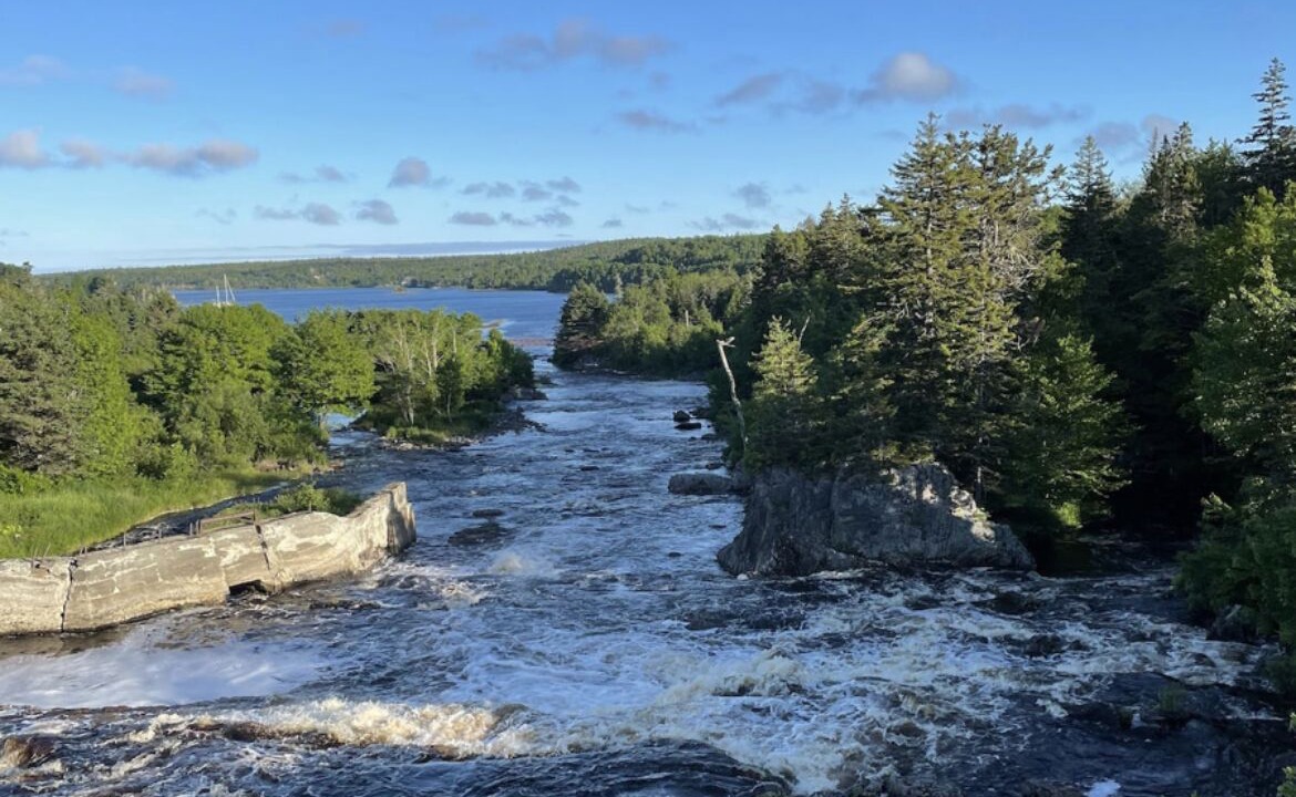 Photo of Others in Sheet Harbour