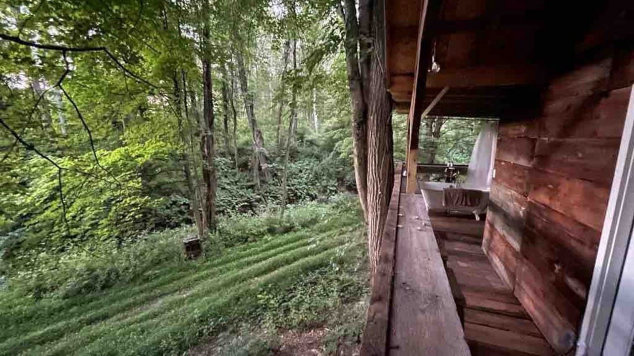 Photo of Outdoor in Hyde Park