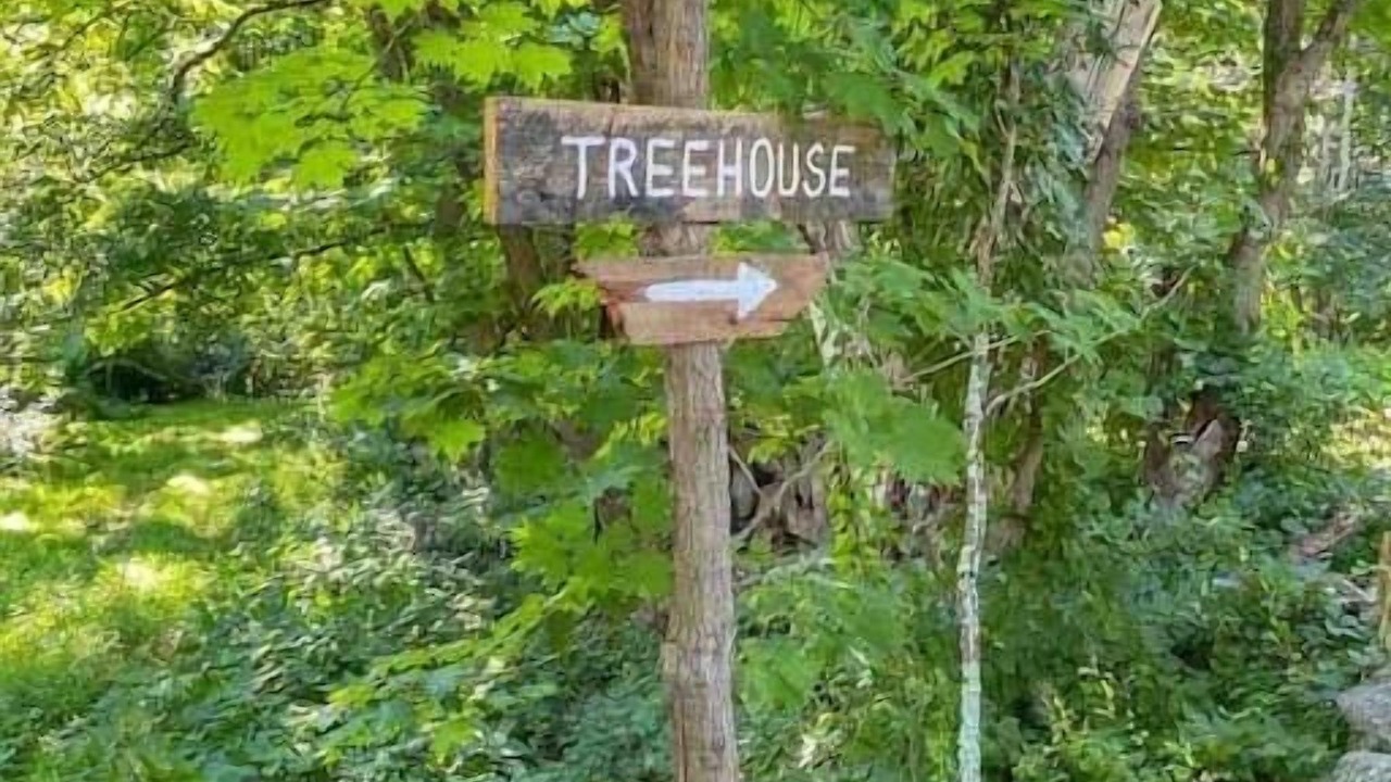 Photo of Outdoor in Hyde Park