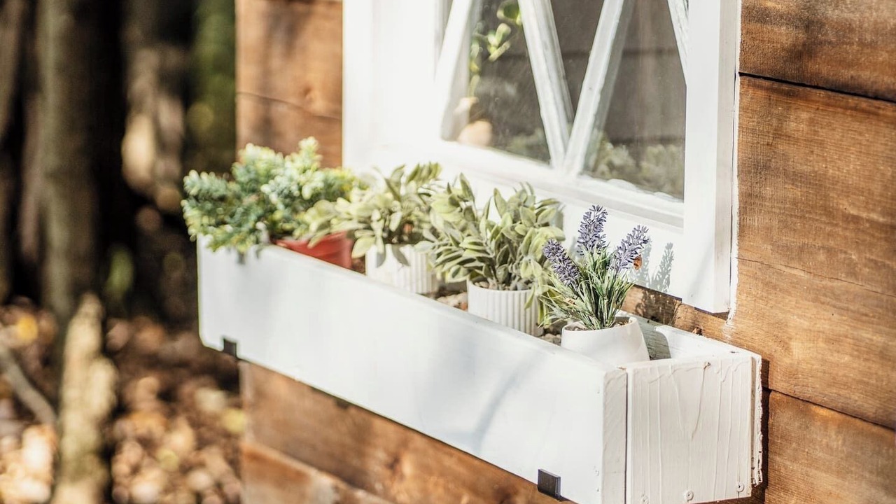 Photo of Others in Hyde Park