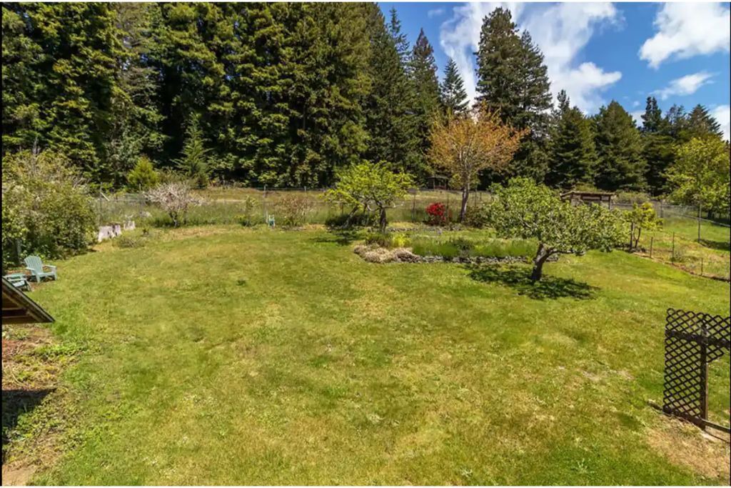 Photo of Outdoor in Jacoby Creek