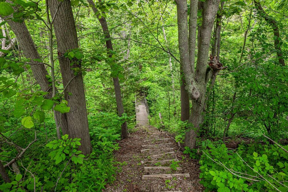 Photo of Outdoor in Central Huron