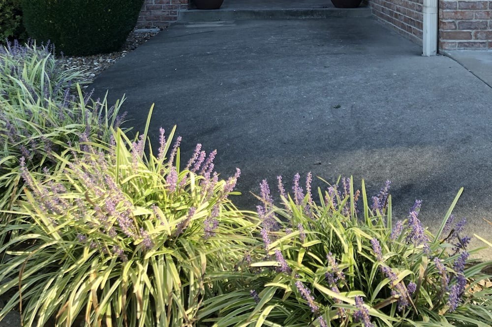 Photo of Outdoor in Jackson