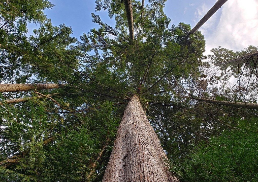 Photo of Outdoor in Baker City