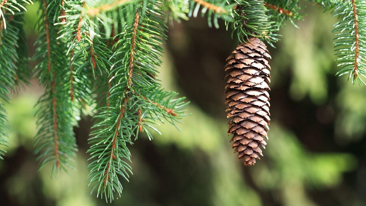 Photo of Outdoor in Baker City