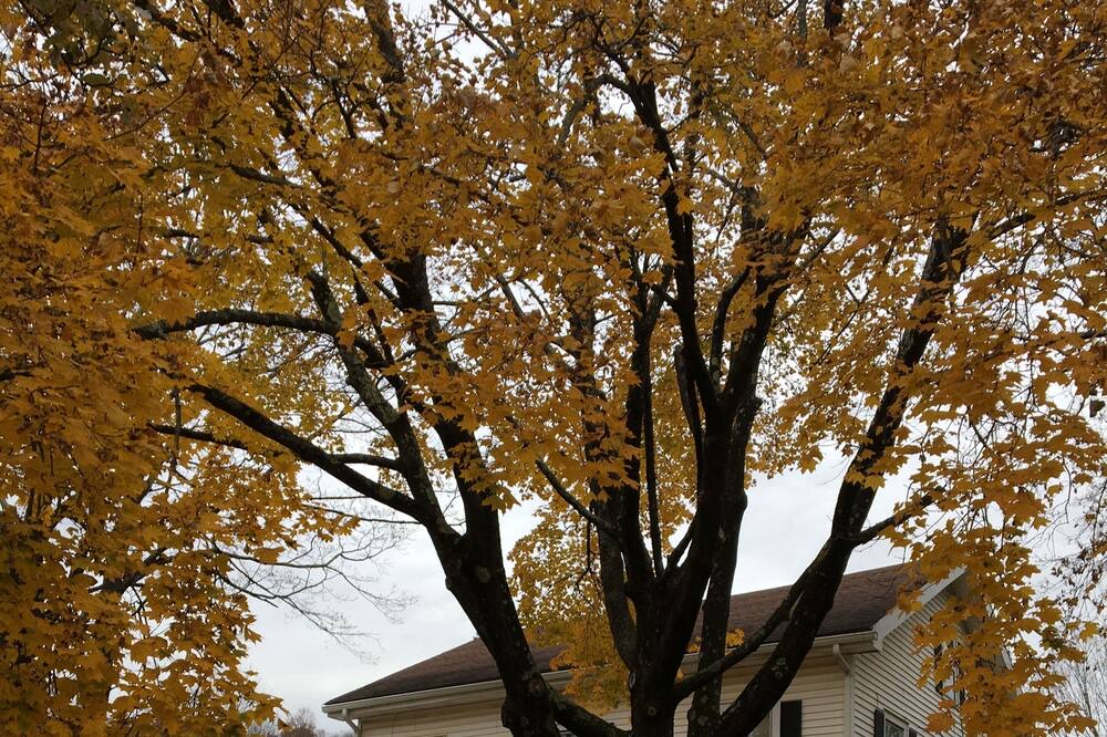 Photo of Outdoor in Amenia