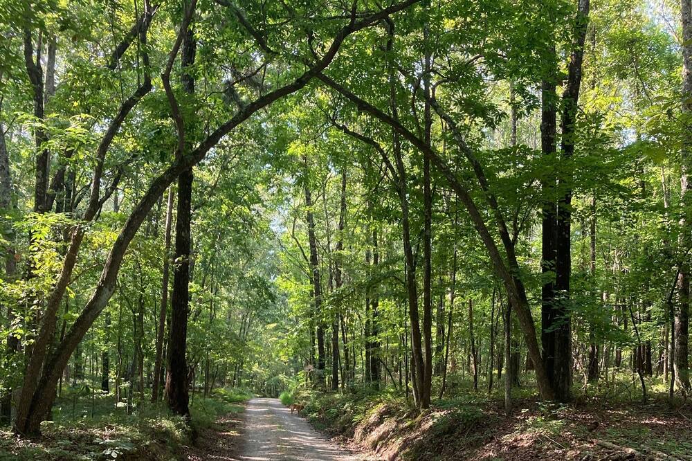 Photo of Outdoor in Whitesburg