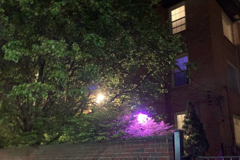 Photo of Outdoor in Lindenwood Park