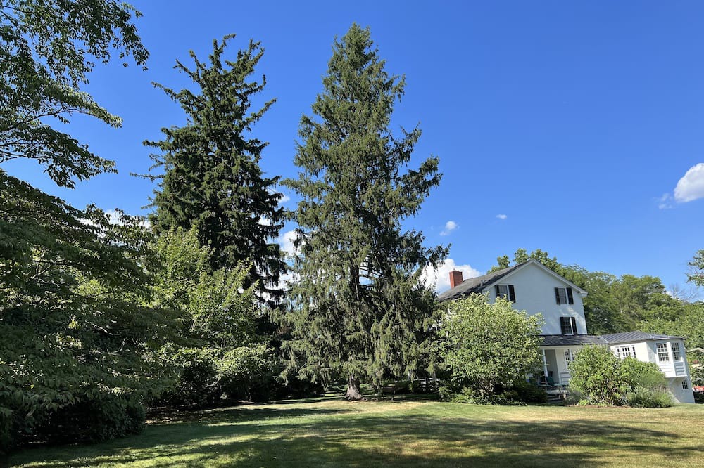 Photo of Outdoor in Blue Bell