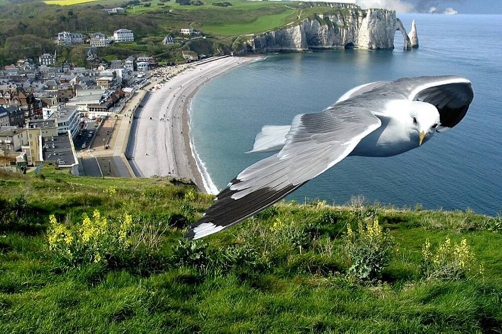 Photo of Others in Etretat