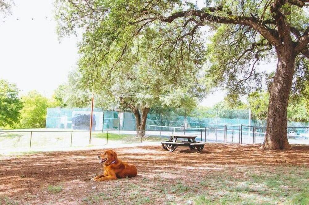 Photo of Others in Barton Hills