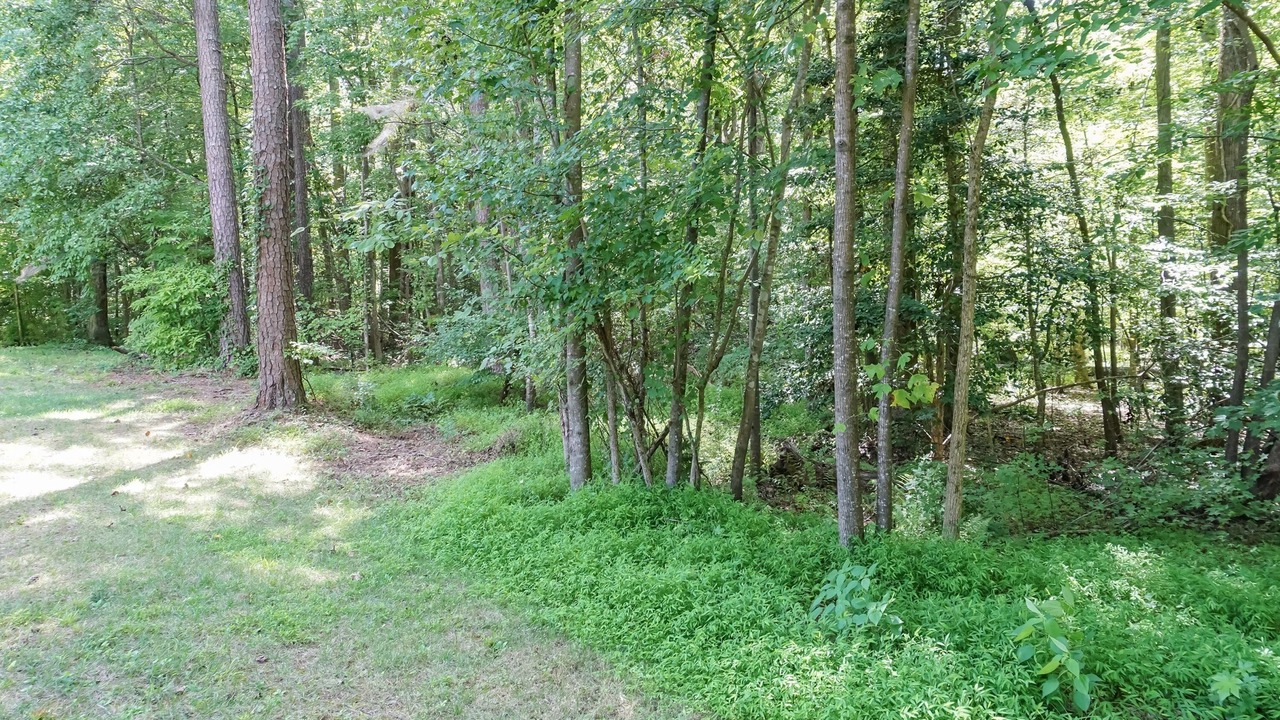 Photo of Outdoor in Apex