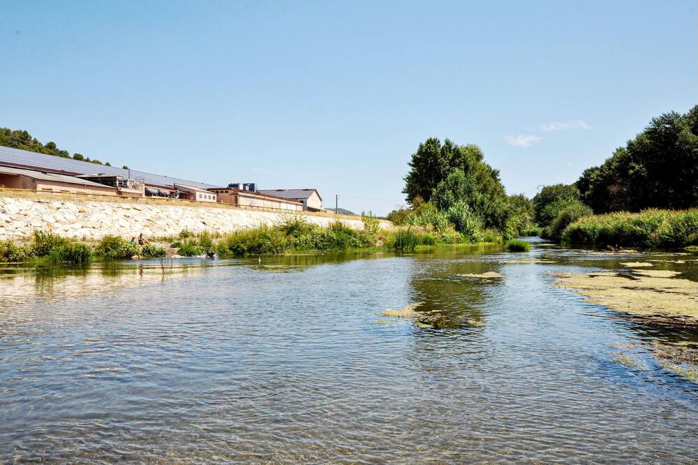 Photo of Others in Estagel