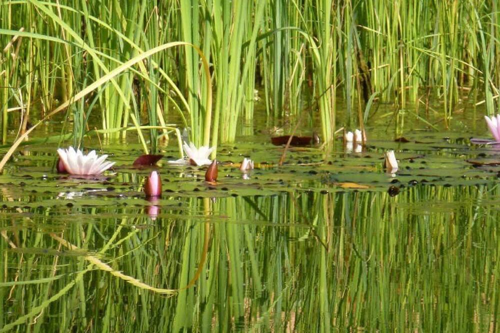 Photo of Outdoor in La Chapelle-Thecle