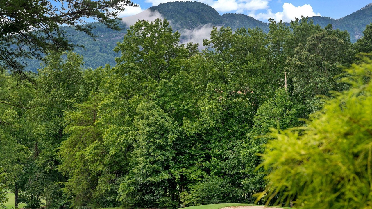 Photo of Others in Lake Lure