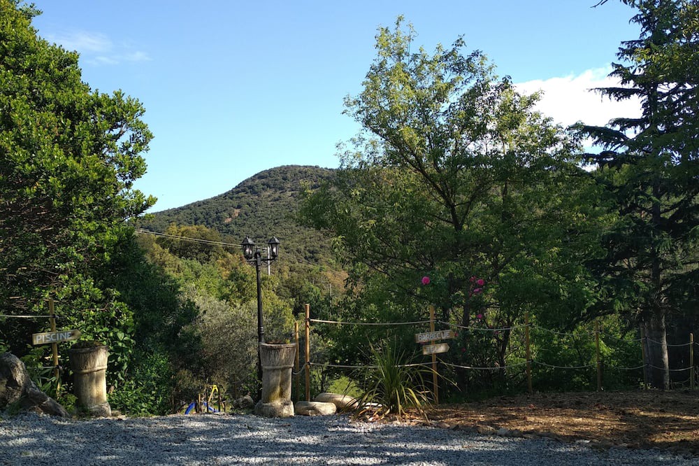 Photo of Outdoor in Oms