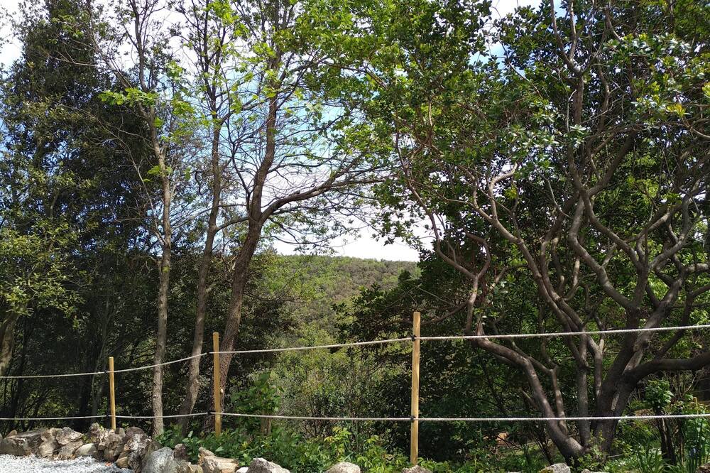 Photo of Outdoor in Oms