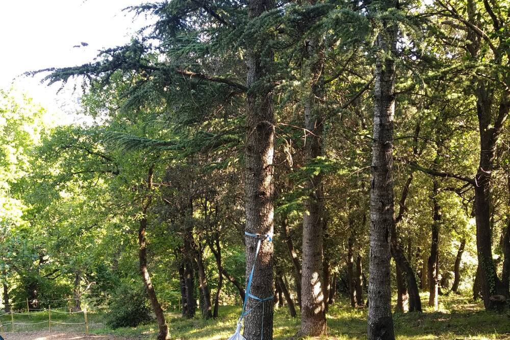 Photo of Outdoor in Oms