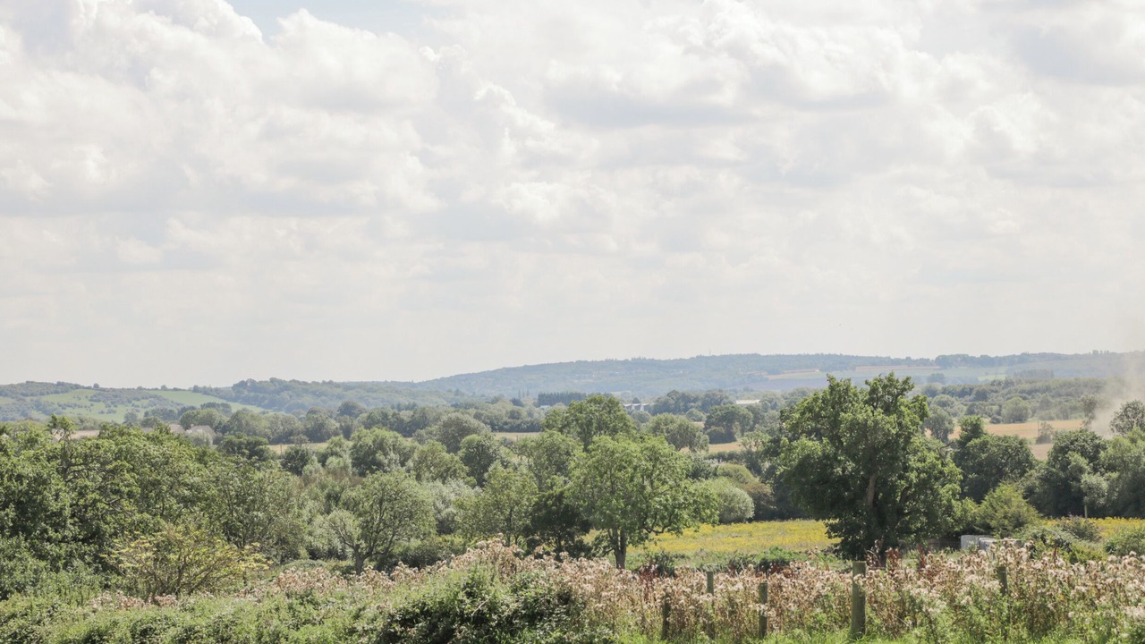 Photo of Others in South Leigh