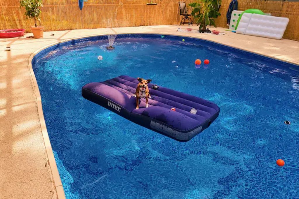 Photo of Outdoor in Dade City