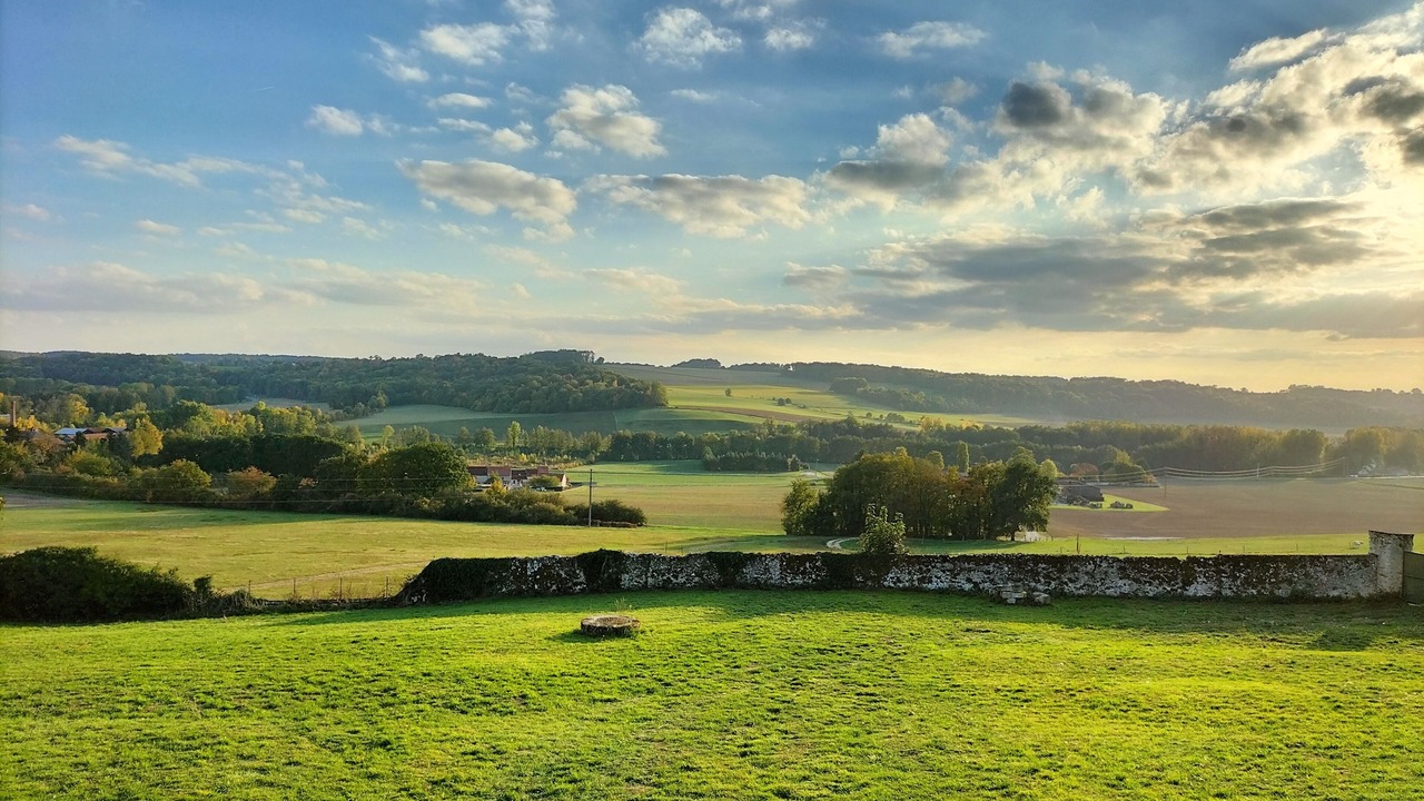 Photo of Others in Montmirail