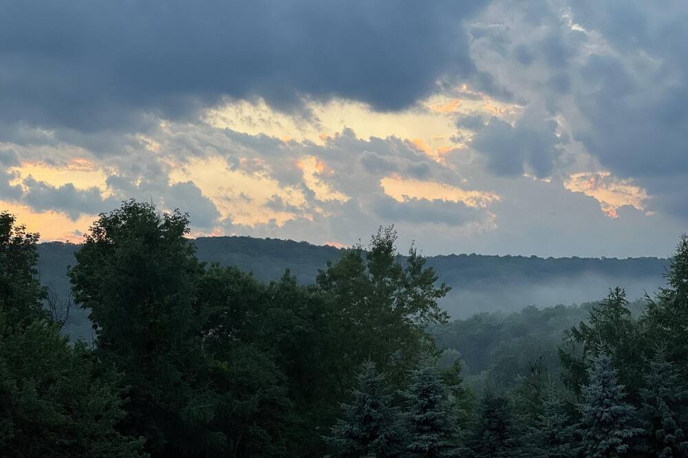 Photo of Others in Milford