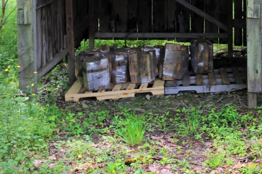 Photo of Others in Milford