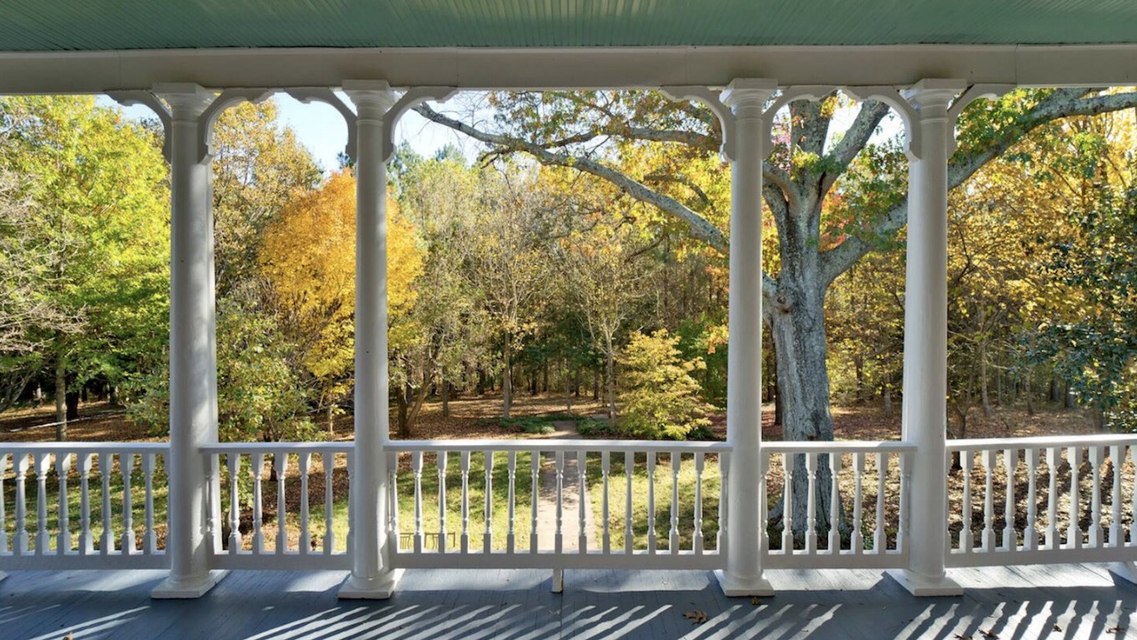 Photo of Outdoor in Nelson