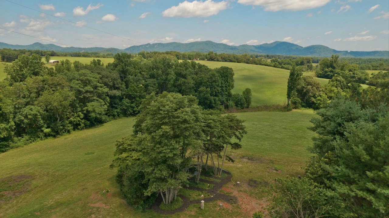 Photo of Outdoor in Nelson