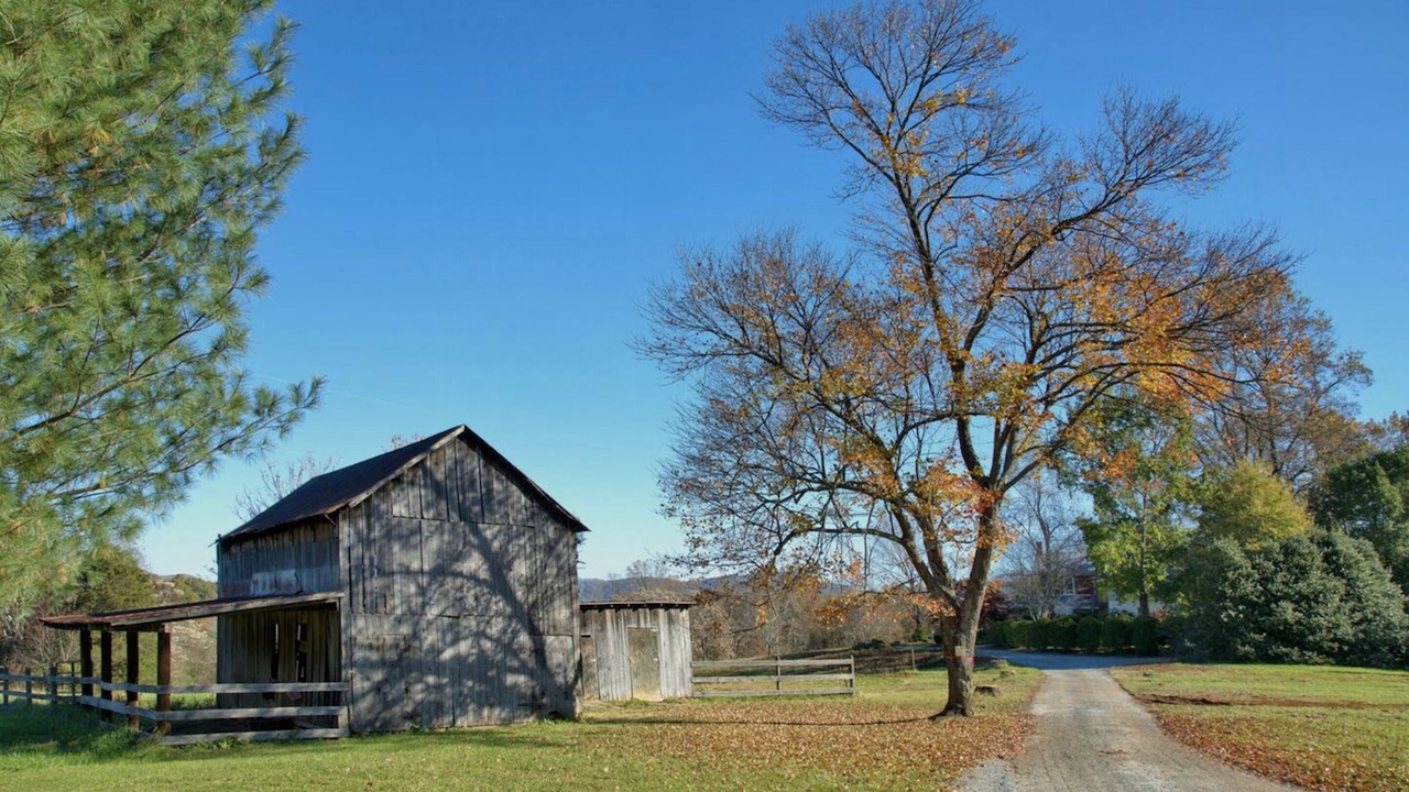 Photo of Outdoor in Nelson