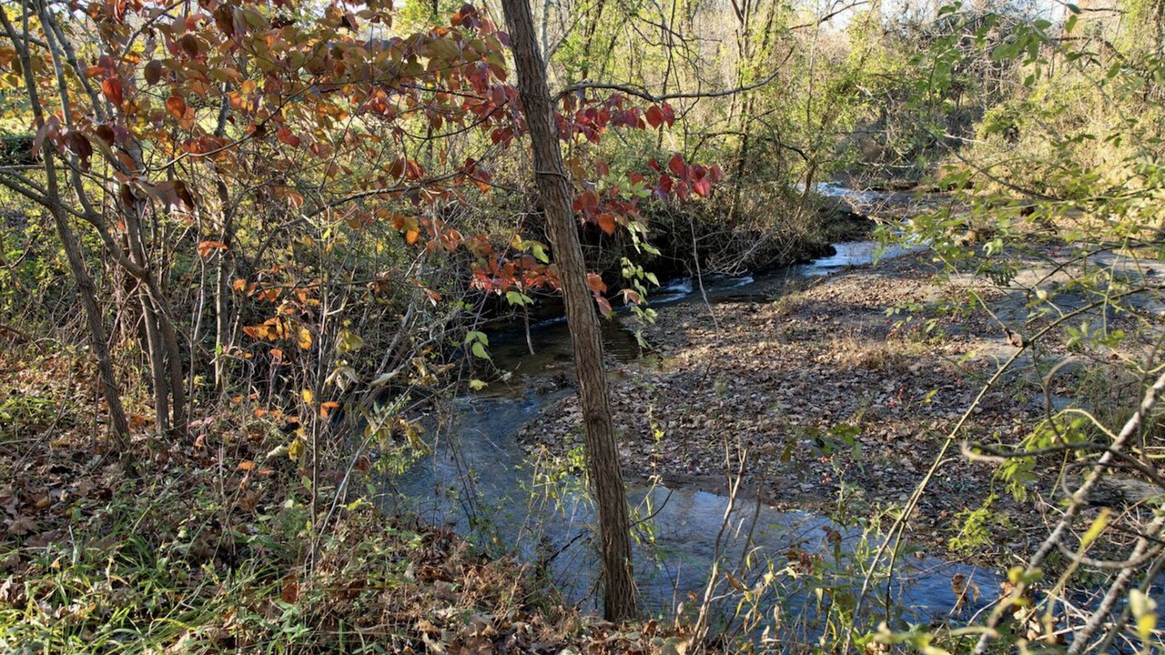 Photo of Outdoor in Nelson
