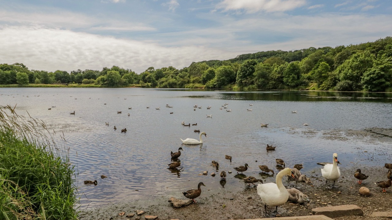 Photo of Others in Calder Bridge