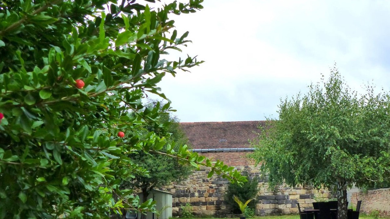 Photo of Outdoor in Yzeure