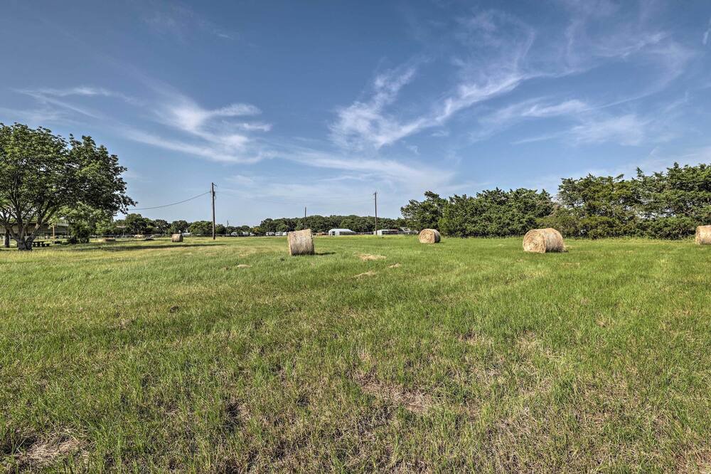Photo of Outdoor in Pilot Point